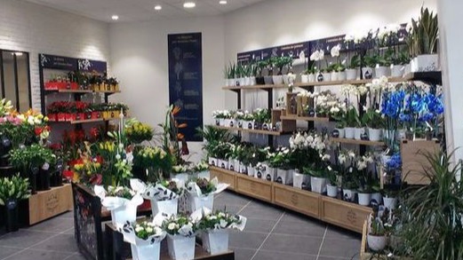 Logiciel caisse magasin fleuriste, toulon,nice,avignon,marseille